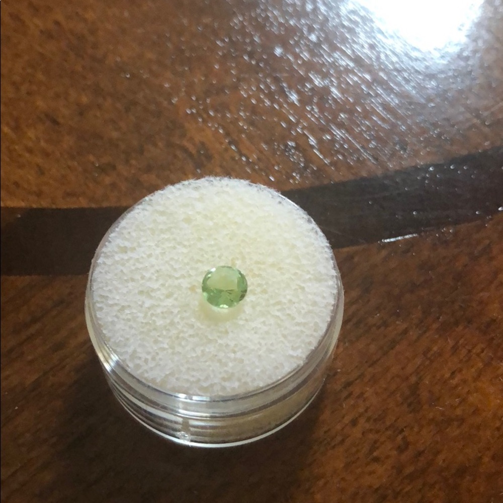 Origami Owl August Round Charm